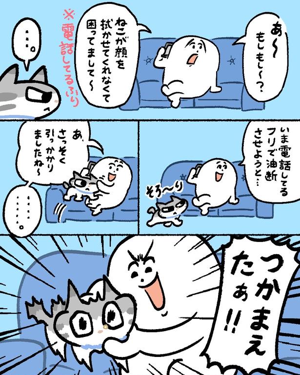 『逃げる猫の捕獲方法』(2／3)
