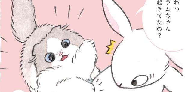『猫のラムちゃん日記』が話題
