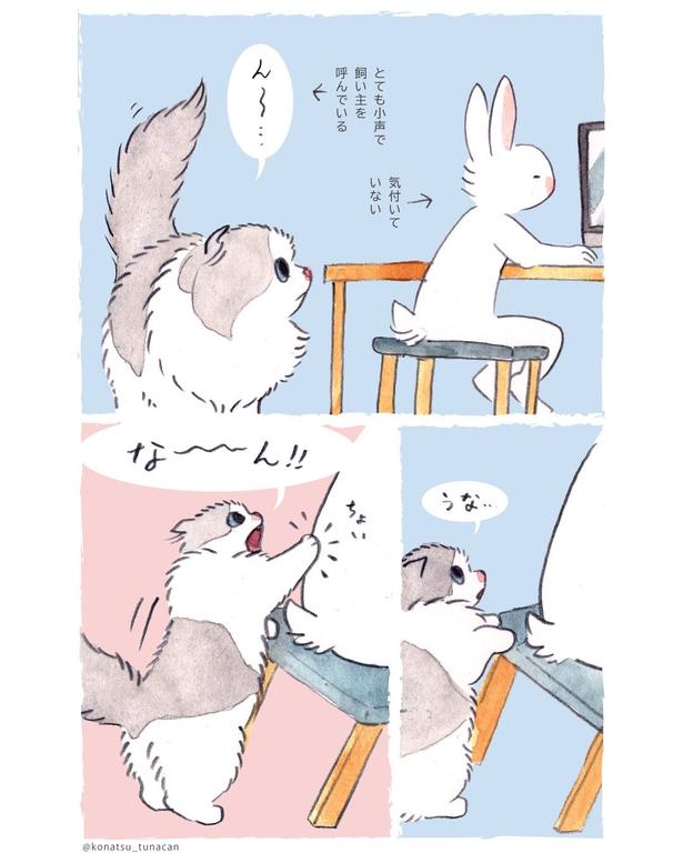 『猫のラムちゃん日記』(1／22)