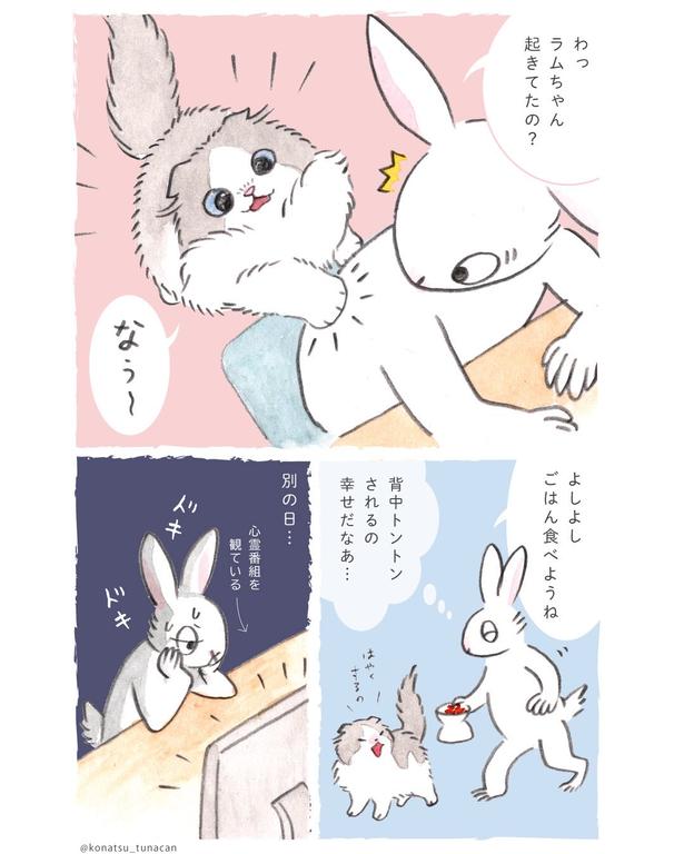 『猫のラムちゃん日記』(2／22)