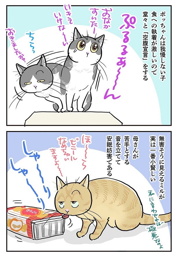 起こし方にも、それぞれの個性が…!