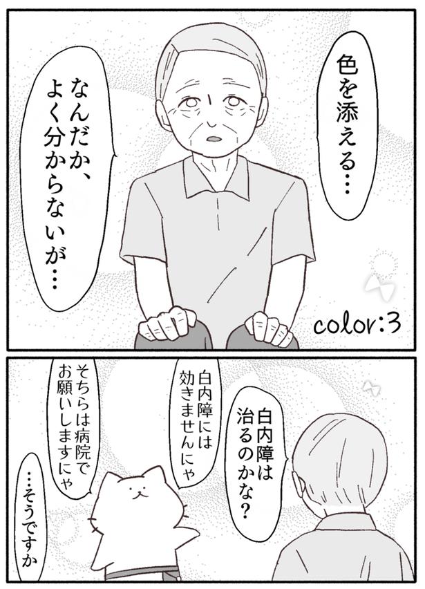 画像提供:猫原のしさん