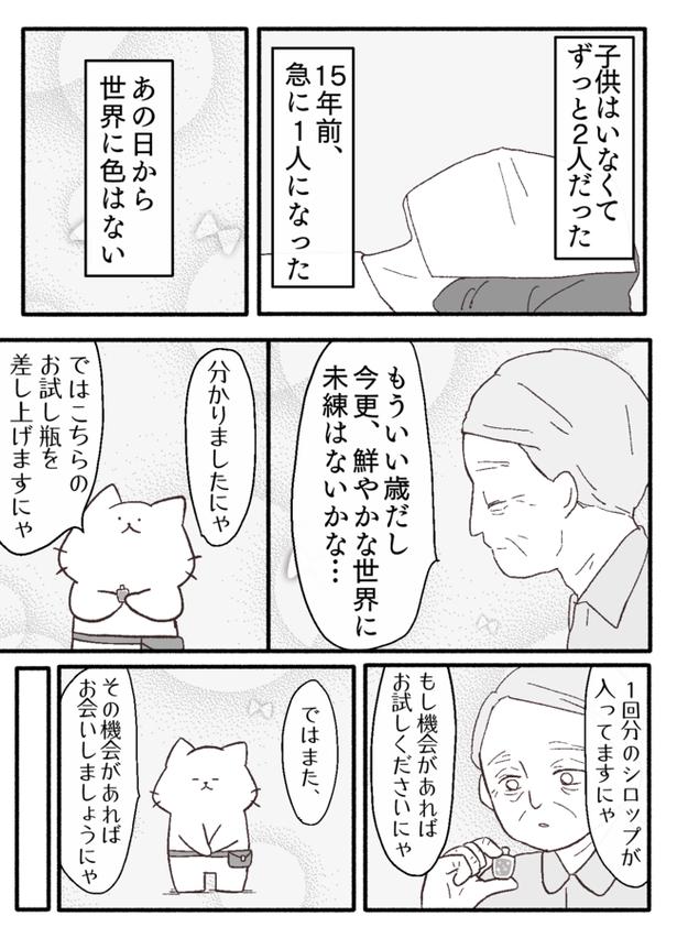 画像提供:猫原のしさん