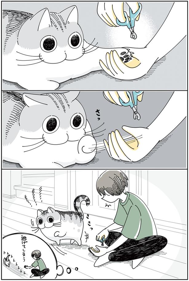 逃げてしまう…？ （C）キュルZ／KADOKAWA