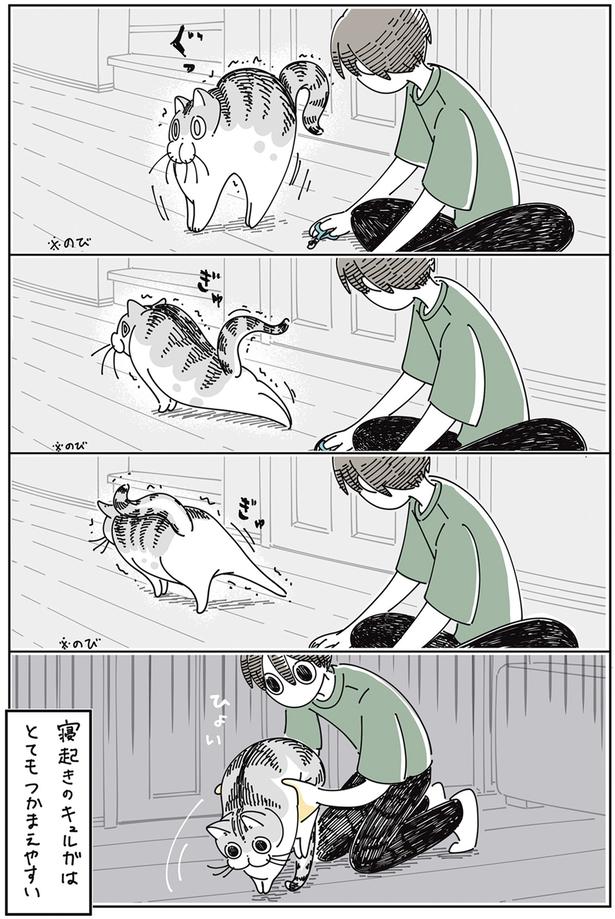 寝起きはつかまえやすい （C）キュルZ／KADOKAWA