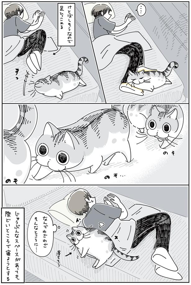 なんでわざわざそんなところに… （C）キュルZ／KADOKAWA