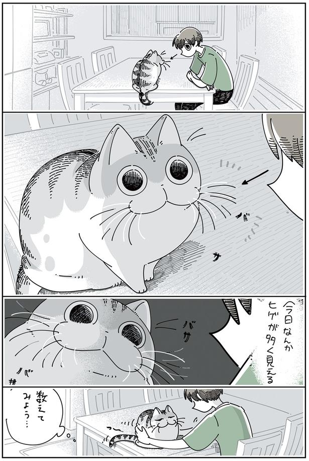 ネコのヒゲを数えたい （C）キュルZ／KADOKAWA