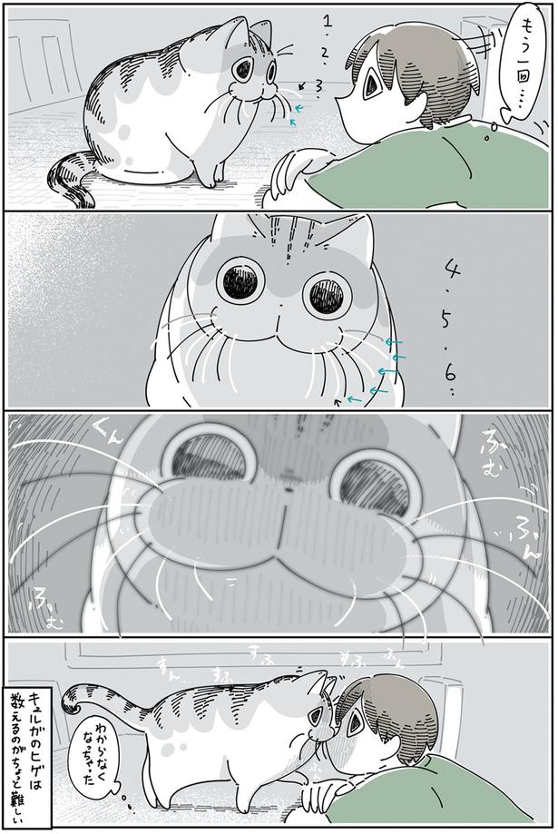 数えるのがちょっと難しい （C）キュルZ／KADOKAWA