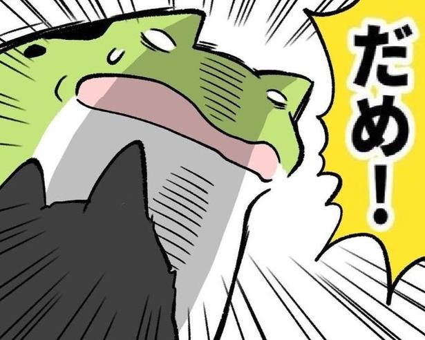 とっさに叱るとき、犬と子どもの名前が混同してしまう ユウコトリトリ(@yuko_toritori)