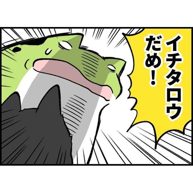 柴犬に向かって「イチタロウ(息子の名前)、だめ！」と怒鳴る ユウコトリトリ(@yuko_toritori)