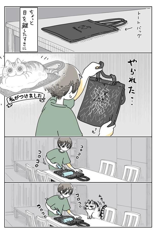 『待つネコ』01 画像提供:キュルZ@kyuryuZ