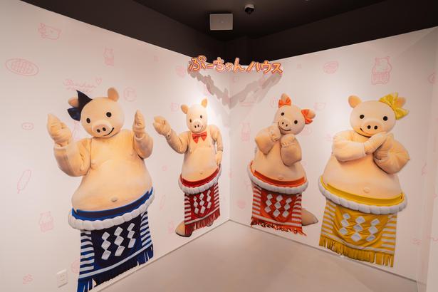 ぶーちゃんズと一緒に写真撮影ができる！