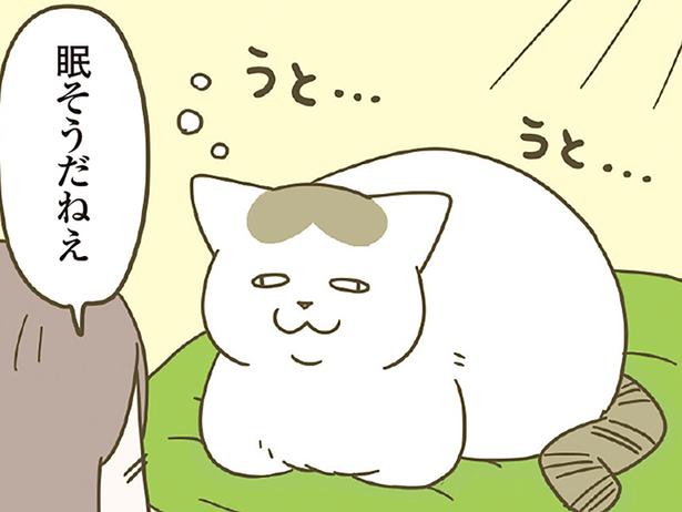 眠そうだねえ」猫に話しかけている後ろから、返事をしたのは？（レタス