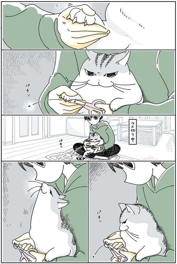 ツメ切り中 （C）キュルZ／KADOKAWA