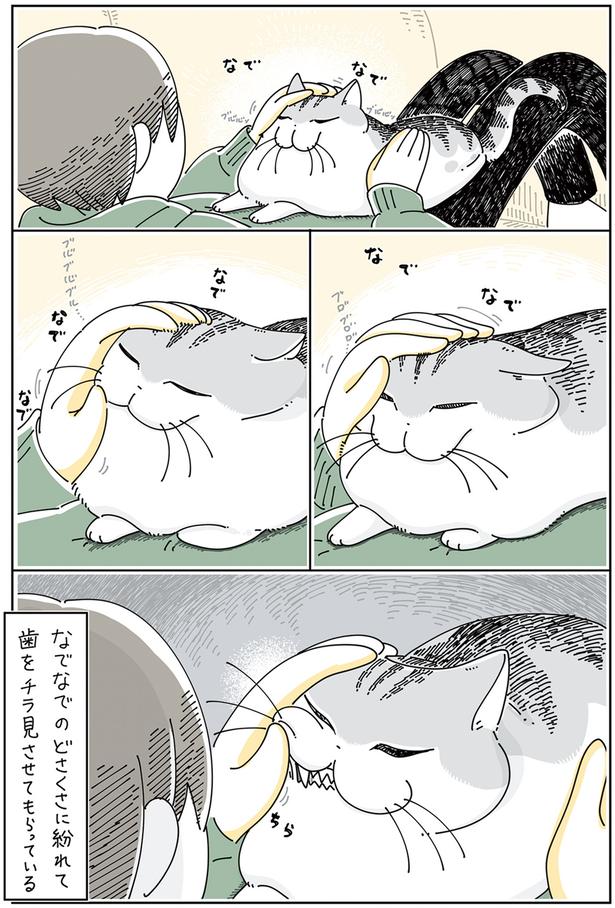 歯をチラ見させてもらっている （C）キュルZ／KADOKAWA