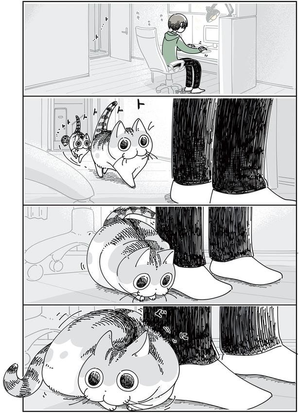こんな時に限ってへそ天 （C）キュルZ／KADOKAWA