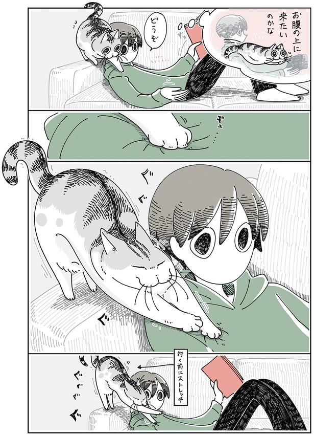 お腹の上に来たいのかな （C）キュルZ／KADOKAWA