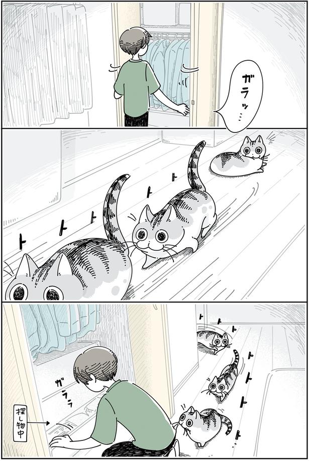 クローゼットを開くと見にくる （C）キュルZ／KADOKAWA