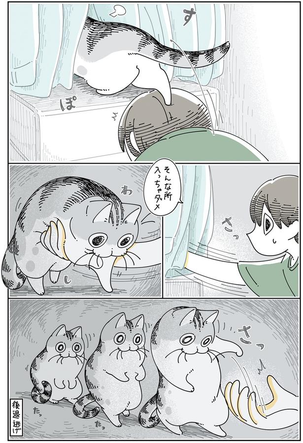 後退逃げ （C）キュルZ／KADOKAWA