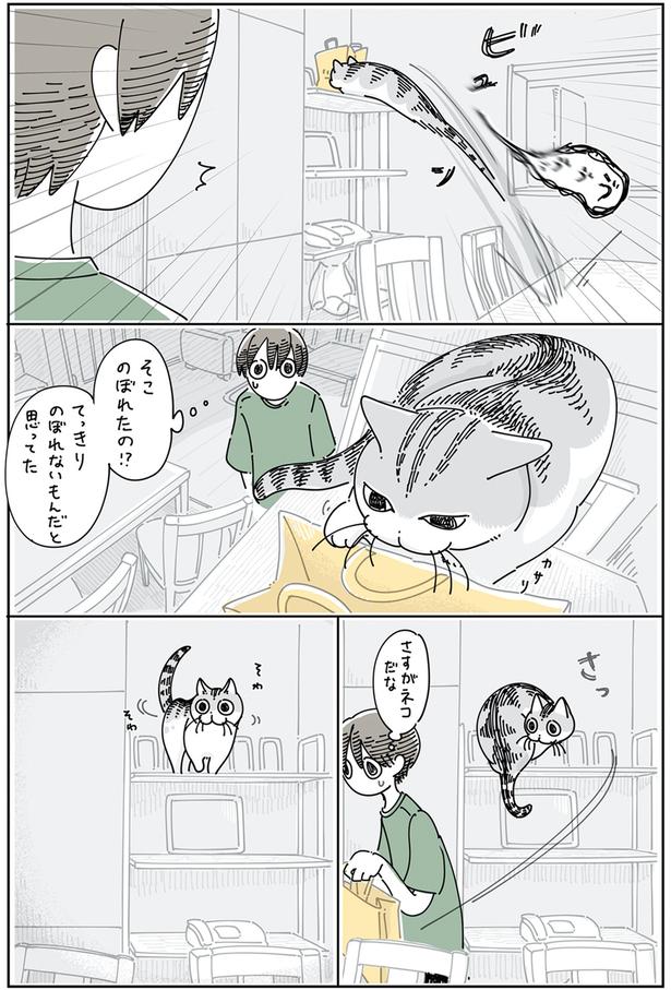 そこのぼれたの！？ （C）キュルZ／KADOKAWA