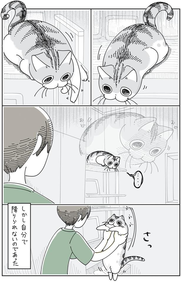 しかし自分で降りられない （C）キュルZ／KADOKAWA