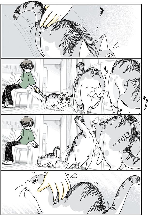 すりすり （C）キュルZ／KADOKAWA