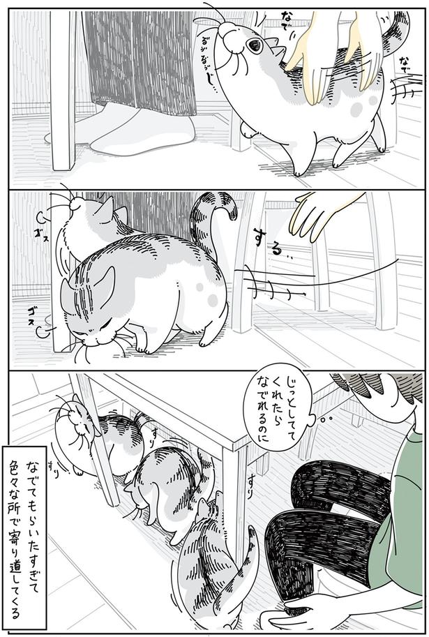 じっとしててくれたら （C）キュルZ／KADOKAWA