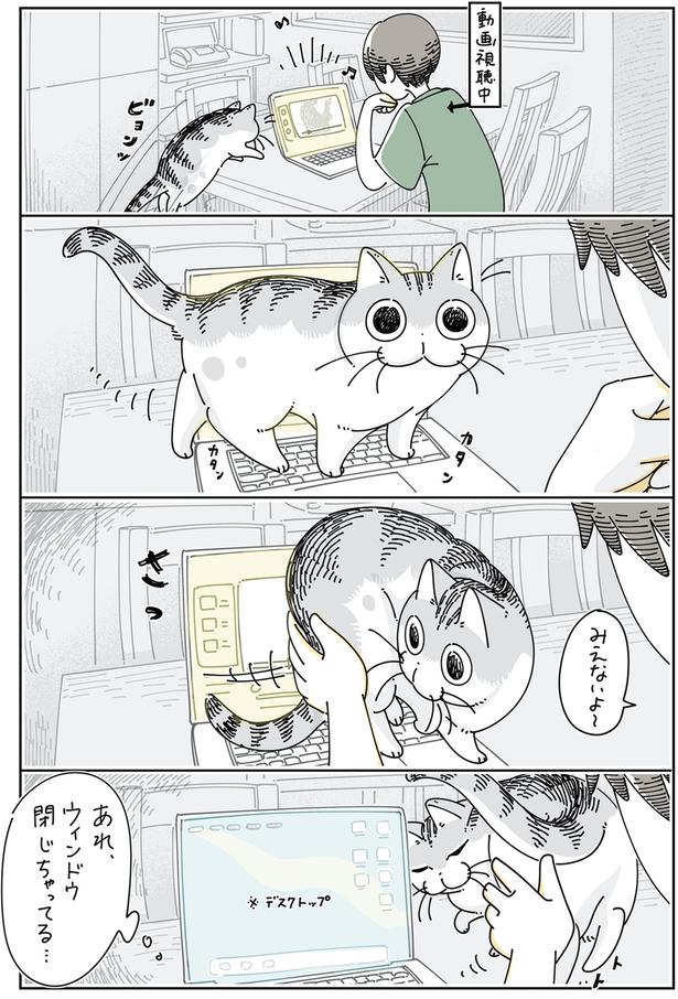 ショートカットキーを使うネコ （C）キュルZ／KADOKAWA