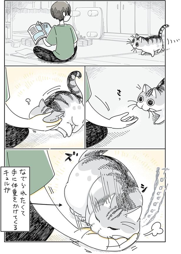 手に体重をかけてくる （C）キュルZ／KADOKAWA