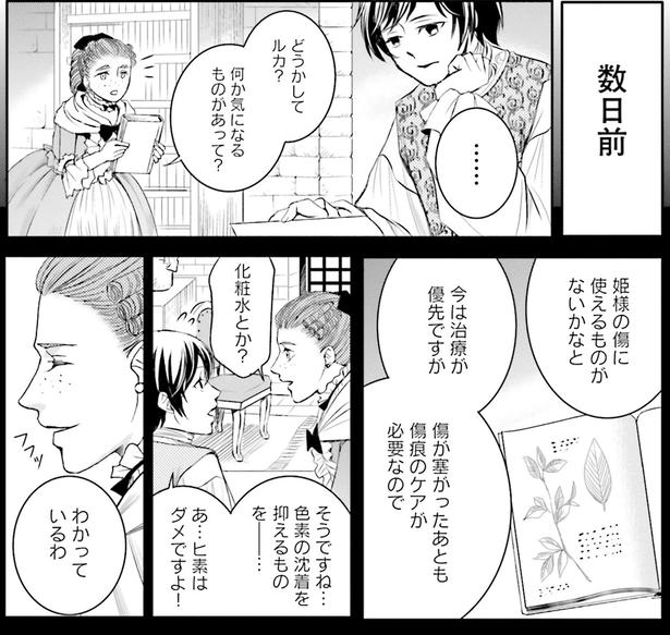数日前 （C）みやのはる、堀江宏樹／KADOKAWA
