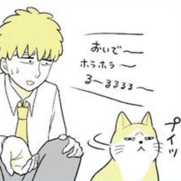 本当は猫にこそ好かれたいのに…。