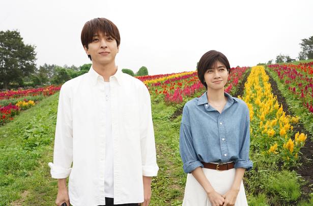 澄晴(寺西拓人)＆葵(内田有紀)、20歳差の純愛の結末