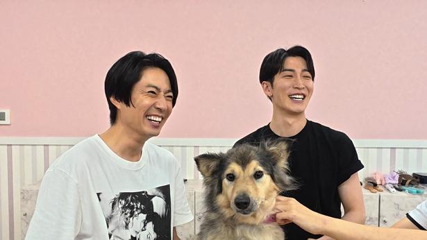 「嗚呼!!みんなの動物園」より