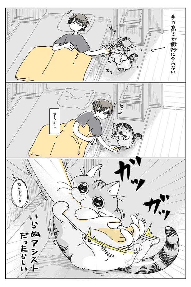 03 画像提供：キュルZ@kyuryuZ