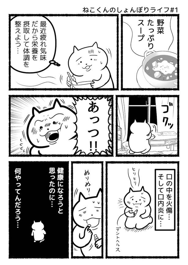 ねこくんのしょんぼりライフ#1ねこくんの日常漫画 画像提供：あおいし(@ao144444)