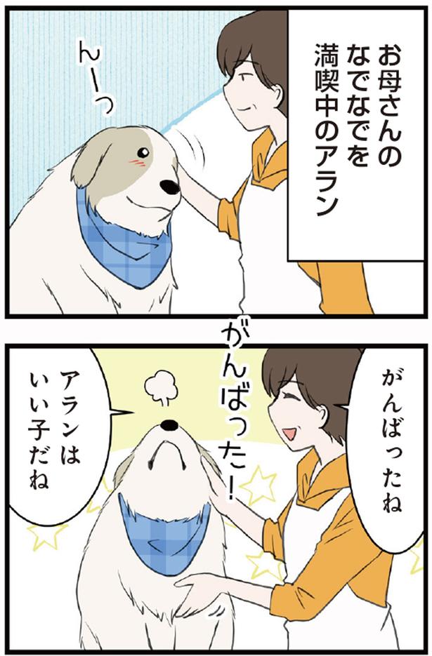 お母さんのなでなでを満喫中のアラン （C）今日のルンルン、ゆに／KADOKAWA