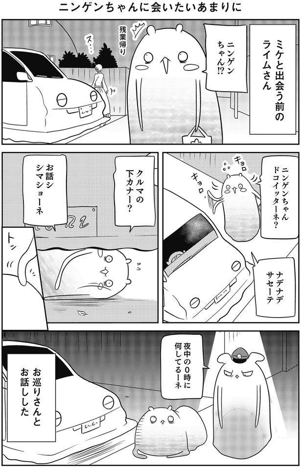 ニンゲンちゃん！？ （C）河口けい／KADOKAWA