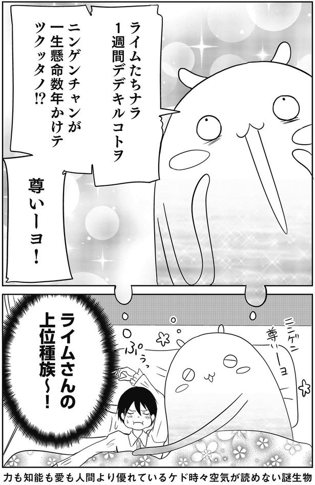 尊いーヨ！ （C）河口けい／KADOKAWA