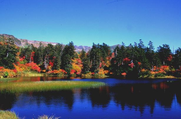 湖面に映る紅葉が美しい/大雪山(高原温泉)の紅葉