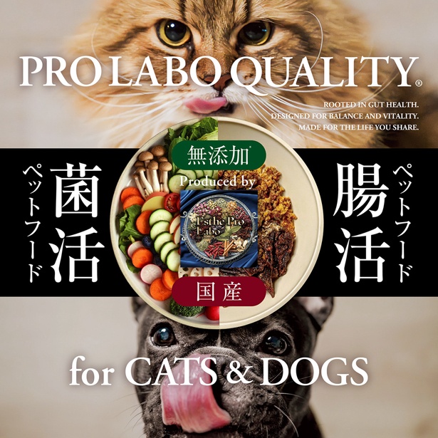 PROLABO QUALITY