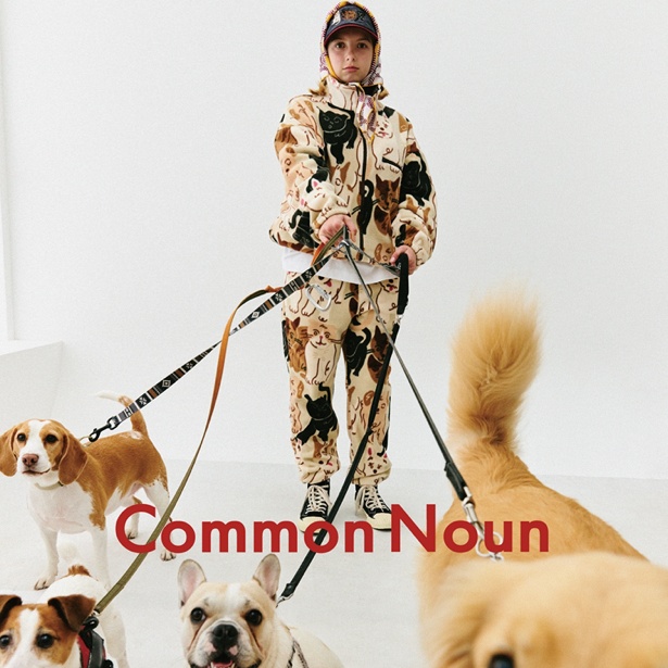 Common Noun