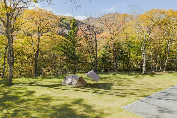 赤城山の森に広がる「スノーピーク 赤城 キャンプフィールド」。木々に囲まれた環境で、自然を身近に感じられる