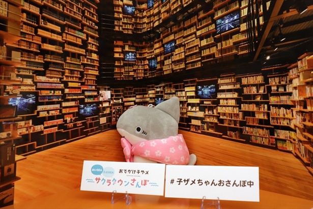 ところざわサクラタウンの名所を再現したぬい撮りスポット※ぬいぐるみは別途持ち込み
