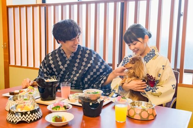 愛犬に寄り添った充実の館内設備が魅力