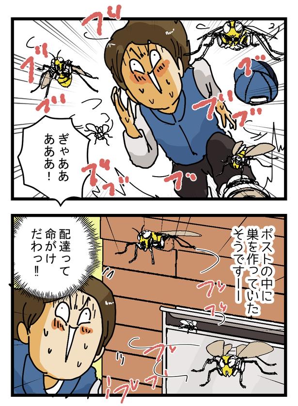 メール便がポストに入らなかった、まさかの理由(2)