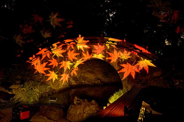 円月橋のプロジェクションマッピングのテーマは紅葉(イメージ) 小石川後楽園