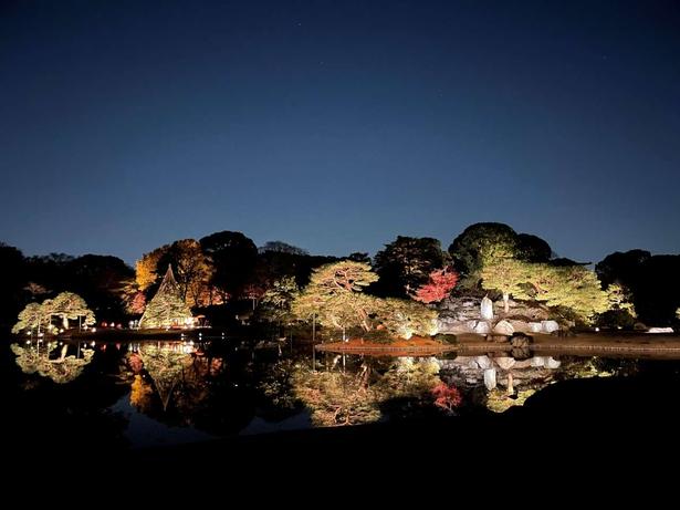 六義園、過去のライトアップの様子 六義園