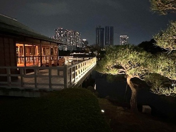夜の中島の御茶屋 浜離宮恩賜庭園
