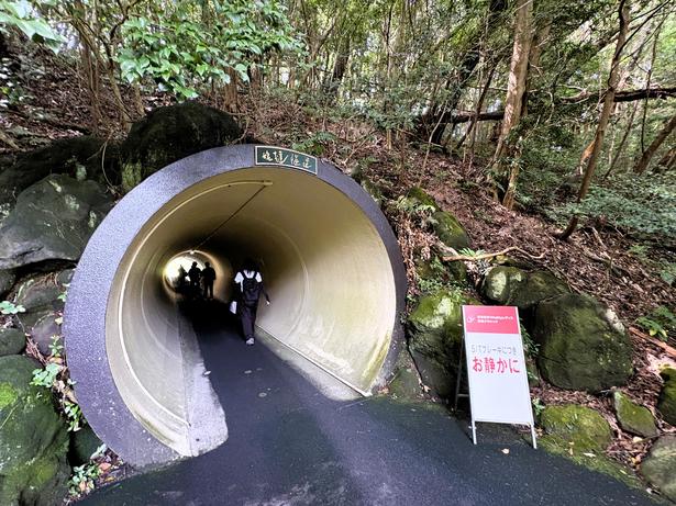 途中、トンネルが出現!