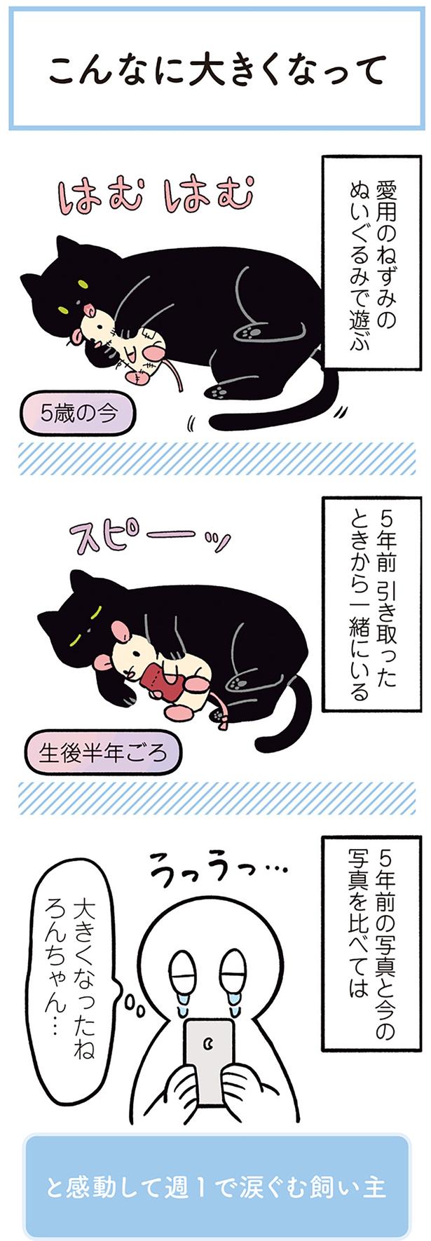 大きくなったねろんちゃん… （C）AKR／KADOKAWA